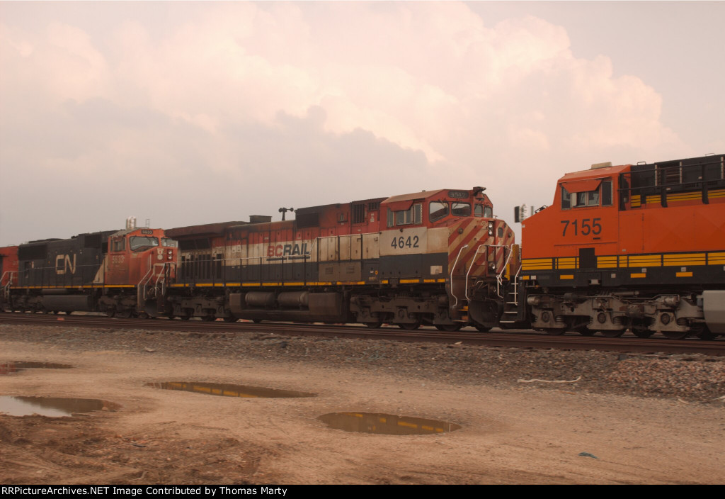 BCOL 4642